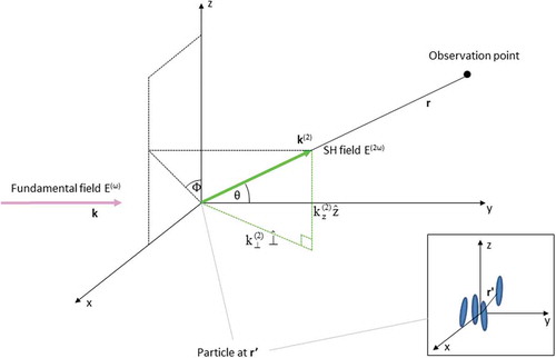 Figure 13. (Colour online) SH scattering geometry. The diagram shows only one scattered SH wave. However, in reality, there are many SH waves all with different wave vectors .The inset shows a particle at acting as a source of SHG.