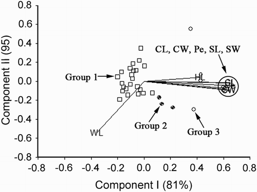 Figure 4. Biplot generated using standardised Best Linear Unbiased Predictor values for eight traits measured from the 30 germplasm accessions of V. sativa subsp. nigra at Yuzhong. Components I and II account for 81% and 9% of total variation, respectively. The different symbols indicate accession groups 1 to 3 generated from cluster analysis. Traits are indicated by the directional vectors: SY, 100-seed weight; CL, curved length; CW, curved width; HL, hilum length; Pe, perimeter (mm); SL, straight length (mm); SW, straight width (mm); WL, width to length ratio.