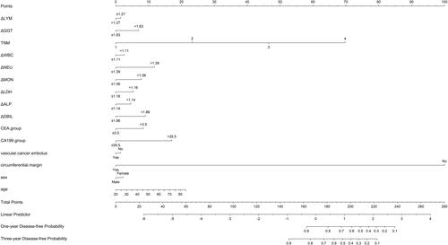 Figure 6 Nomogram of prognostic model for DFS of colorectal cancer.