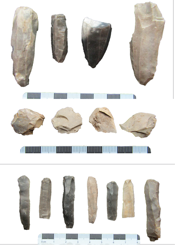 Figure 3. Middle Mesolithic cores and blades from Lego, Rogaland C, platform preparation cores from Båtevik II (Vestland). (photo and collage: H.Damlien).