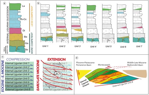 Figure 4 . Ttectonic evolution of the study area. (A) succession of the external Ligurian unit, with indications of the competent (more rigid) and less competent levels, influencing the evolution of the lateral segmentation of rocks during Miocene extension; (B) stratigraphic columns illustrating the part of the outcropping succession, testifying the occurrence of a tectonic unit, delimited by extensional shear zones; (C) conceptual model illustrating the evolution of the Ligurian rocks, during collision and subsequent extension; (D) structural sketch showing the relation between the Ligurian tectonic units and the Neogene Basins.