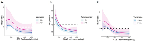 Figure 1 Plots of the non-linear interaction effect between CD8+T cell counts and key predictors using restricted cubic splines. (A) age (years), (B) tumor number, and (C) tumor size (cm). The gray area indicates 95% CIs of the relative risk (HR) estimate.