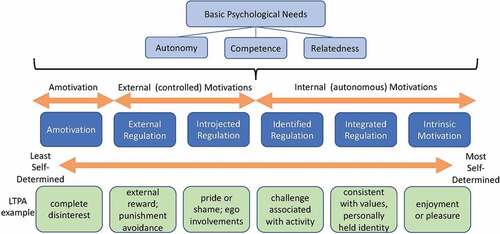 Figure 1. Self-Determination Theory (SDT) Model (adapted from Ryan & Deci, Citation2007).