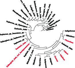 FIG. 1. Overview cladogram for the family Fabaceae based on tree of life (http://tolweb.org/tree/) information. Clades with major crops that are discussed in the review are highlighted in red. Abbreviations: pp - (partly), sl - sensu lato (broadly circumscribed), ss - sensu stricto (narrowly circumscribed).