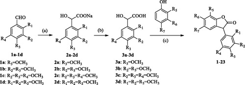 Scheme 1. General synthetic route to 3-arylbenzofuranone, reagents and conditions: (a) CHCl3, TBAB, NaOH, 40–50 °C; (b) H3O+; (c) BF3·Et2O, 30 °C.