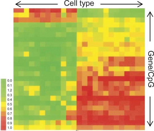 Figure 1 Methylation analysis chart. Each column represents a different cell type, while each row is a different genes/CpG site. Each cytosine is graded from being heavily methylated (1) to largely unmethylated (0).