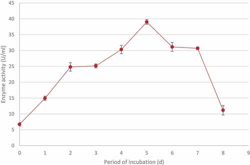 Figure 7 Time course studies showing the optimal period of incubation for maximum xylanase production by identified Trichoderma harzianum isolate during submerged fermentation at 70°C, pH 5.0 and standard agitation (200 rpm). Data points represent the means ± SD (n = 4).