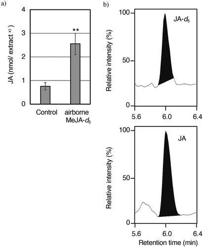 Figure 3. Evaluation of JA in F. commune. The fungus was treated with airborne MeJA-d5. The endogenous amounts of JA were analyzed by UPLC-MS/MS with MRM in negative mode. (a) The evaluation of endogenous amounts of JA; (b) The presence of [2,2,5,5,7-2H5] JA derived from deuterium-labeled MeJA. Upper panel: The peak derived from [2,2,5,5,7-2H5] JA was monitored by selecting m/z 214.00 as the pseudomolecular ion and m/z 60.71 as the transition ion. Lower panel: The peak derived from JA (endogenous compound) was monitored by selecting m/z 209.00 as the pseudomolecular ion and m/z 58.71 as the transition ion. Each value is represented by the mean ± SD of five independent replicates. Welch’s test, **p< 0.01, *p < 0.05. x) originated from the acetone extract (100 mL).