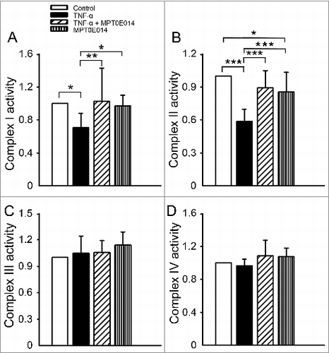 Figure 4. Effects of MPT0E014 on mitochondrial electron transport chain complex activities. Complex I (panel A) and II (panel B) enzyme activities were smaller in tumor necrosis factor (TNF)-α (10 ng/ml)-treated cells than in control and TNF-α-treated with MPT0E014 (1 µM) HL-1 cells (n = 7 experiments per group). Complex III (panel C) and IV (panel D) enzyme activities were similar in control, TNF-α with or without MPT0E014, and MPT0E014-treated HL-1 cells (n = 5 experiments per group). *P<0.05, **P<0.01, ***P<0.005 analyzed by one-way repeated measures ANOVA with Fisher's LSD.