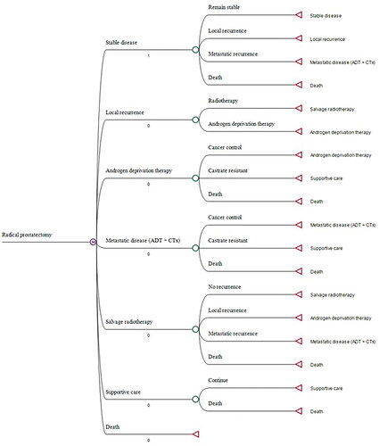 Figure 2. Model schematic – example for radical prostatectomy. Note that all patients start in “stable disease” state.