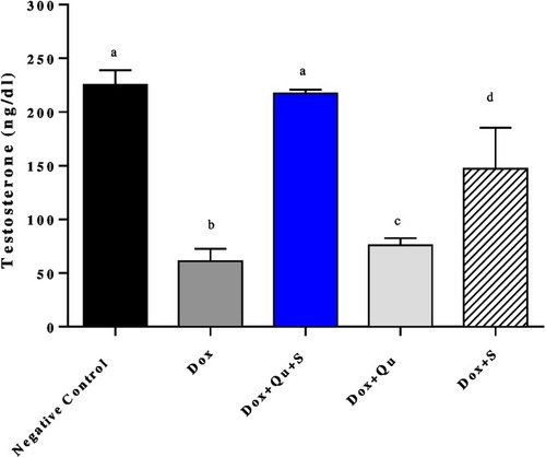 Figure 1 Effect of quercetin and/or sitagliptin on serum testosterone level.