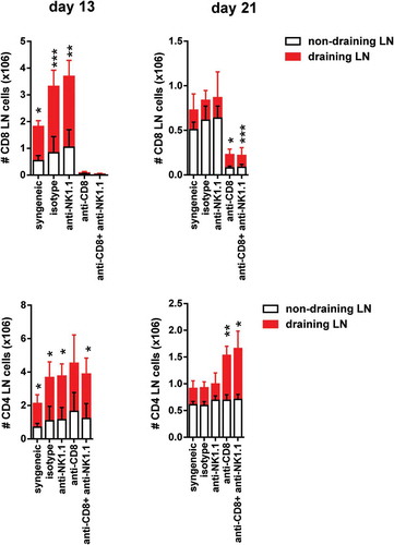 Figure 4. Expansion of CD4 T cells and CD8 T cells in draining pLNs of B6 mice after skin transplantation across an MHC class I barrier.Non-draining and draining axillary and brachial pLNs from each experimental group of bm1-skin grafted B6 recipients were collected at two time points after transplantation.The absolute number of CD8 T cells (upper panels) and the absolute number of CD4 T cells (lower panels) at day 13 and day 21 post-Tx is depicted in draining and non-draining lymph nodes. Results are displayed as mean ± SD. Statistical significance and p value was calculated using unpaired Student’s t test for the comparison of means between draining versus non-draining pLN in each experimental group. The following criterion of statistical significance was used: *, p < 0.05; **, p < 0.005; ***, p < 0.0005. These plots display data pooled from three independent experiments with three mice per group.