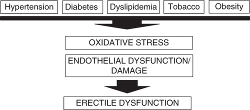 Figure 1. Causes of erectile dysfunction (adapted from Guay [Citation6]).