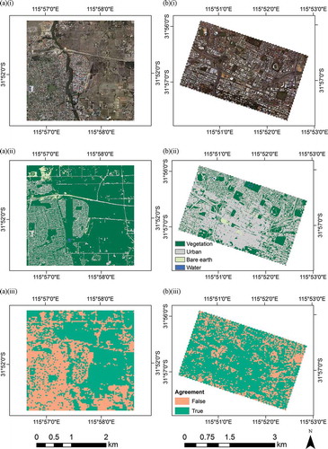 Figure 4. (i) High spatial resolution true colour orthophotos, (ii) land-cover maps, and (iii) the agreement between the orthophoto classification resampled to 30 m2 and the Landsat classification for: (a) an out of town development area (East Beechboro), (b) old inner city urban area (central business district), (c) older suburban area (Palmrya, Melville), and (d) predominantly vegetated site (Keysbrook). In (iii), areas depicted as ‘true’ indicate those 30 m2 pixels where the orthophoto land-cover type, based on the dominant land cover in the 30 m2 area, and Landsat land-cover type are in agreement.