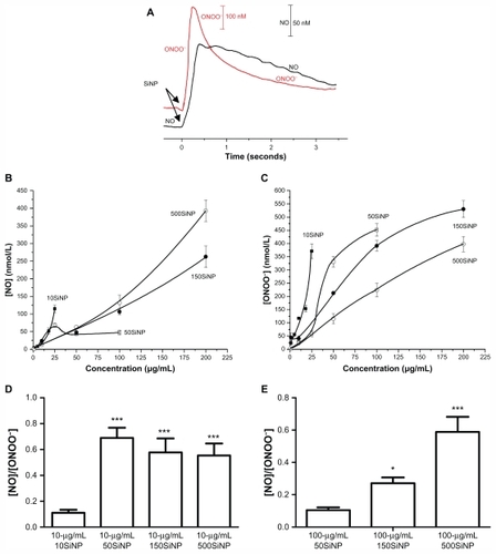 Figure 2 Amorphous SiNP induce NO and ONOO− production and unfavorably shift the [NO]/[ONOO−] balance in primary human umbilical vein endothelial cells. (A) Representative recordings of NO and ONOO− concentrations measured in situ by specific nanosensors placed 5 ± 2 μm for the surface of a single cell after addition of 25 μg/mL 10SiNP (arrows) to the cell culture media. Maximal concentration of NO (B) and ONOO− (C) released from cells following stimulation by 10SiNP (■), 50SiNP (□), 150SiNP (●), and 500SiNP (°). All values are presented as the mean ± standard error of the mean of n = 4. One-way analysis of variance and Tukey–Kramer multiple comparison tests were used to analyze all sets of data. [NO]/[ONOO−] ratio of the maximal NO and ONOO− concentrations measured upon stimulation of cells by SiNP at 10 μg/mL (D) and at 100 μg/mL (E).Notes: All values are presented as the mean ± standard error of the mean of n = 4. One-way analysis of variance, Tukey–Kramer multiple comparison test: *P < 0.05, ***P < 0.001 compared with 10 μg/mL 10SiNP (D) and compared with 100 μg/mL 50SiNP (E).Abbreviation: SiNP, silica nanoparticles.