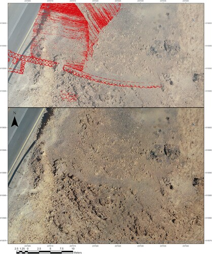 Figure 4 Orthophoto of Site A. The upper image is a superimposition of Bar-Adon’s site plan (Citation1989: fig 2).