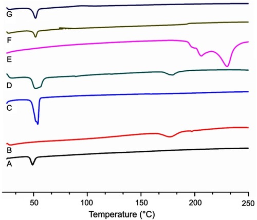 Figure 3 FTIR spectra of PLGA (A), lecithin (B), DSPE-PEG 2000 (C), Luterol (D), DOX (E) blank formulation (F), and DOX loaded LPHNPS (G).Abbreviations: DOX, doxorubicin; DSPE-PEG 2000, 1,2-distearoyl-Sn-glycero-3-phosphoethanolamine-N-[methoxy (polyethylene glycol)]-2000; LPHNPs, lipid polymer hybrid nanoparticles; PLGA, poly (D, L-lactide-co-glicolide).