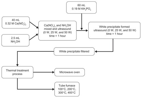 Figure 1 Schematic of experimental procedure for synthesizing nano-HAP.