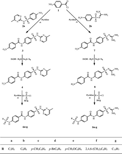 Scheme 1. The synthesis of novel sulfonamide derivatives containing sulfamerazine and sulfaguanidine.