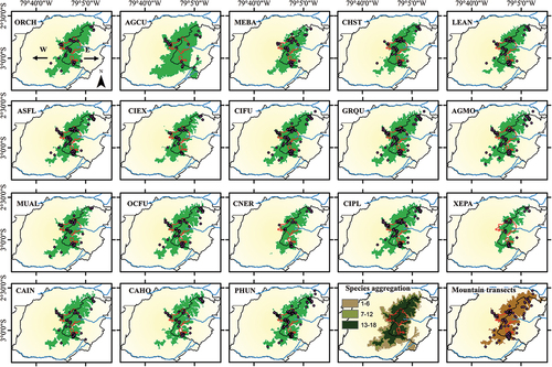 Figure 2. Habitat suitability maps of eighteen surrogate bird species using the MaxEnt algorithm. The first eighteen maps show the individual species predictions (see bird codes in Table 1) and the respective occurrences (dots). The two final maps show the species aggregation map (see methods) created by summing all reclassified individual distribution models and a map of the central coordinate of mountain transects across the páramo landscape (brownish polygon) of the Macizo del Cajas Biosphere Reserve (yellowish polygon), southern Andes of Ecuador. All distribution models were selected via tenth percentile or higher (see Table 1). The red polygons represent the national system of protected areas. The arrows on the first map indicate the western and eastern flanks of the study area (see study area description) omitted in further maps to improve interpretability.