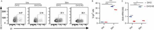 Figure 5. CD36 is involved in immunoglobulin class switching in vitro. (A) Representative contour plot showing IgA staining in CH12 and CH12 KO cells stimulated with 10 μg/mL anti-CD40, 8 ng/mL IL4, and 8 ng/mL TGFB for 3 d. (B) Percentage of IgA+ cells among CH12 and CH12 KO cells after the stimulation. (C) Quantitative (RT)-PCR analysis of transcripts encoding Aicda in CH12 and CH12 KO cells after stimulation. Data are representative of three independent experiments. *P < 0.05, **P < 0.01 and ***P < 0.001 (Mann-Whitney test)