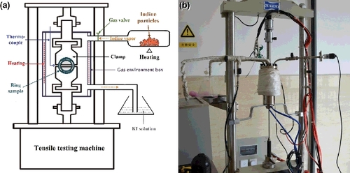 Figure 3. The testing equipment for I-SCC experiments under the ring tensile condition. (a) Schematic diagram; (b) photograph of the testing equipment.