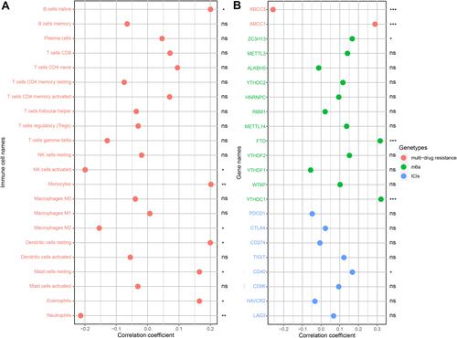 Figure 13 CSMD1 expression associated with immune cell and ICIs/m6a/multi-drug resistance related genes. (A) Correlation analysis results between immune cells and CSMD1 expression. (B) Correlation analysis results between CSMD1 expression and ICIs/m6a/multi-drug resistance related genes. ns: p > 0.05, not statistically significant; *p < 0.05; **p < 0.01; ***p < 0.001.