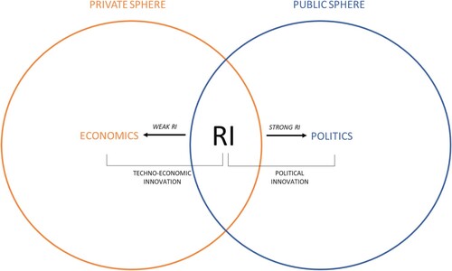 Figure 1. The conceptual ambiguity of RI.