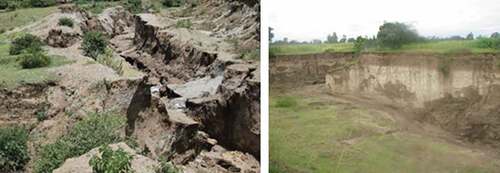 Figure 3. Gully erosion in the catchment dissecting agricultural lands and villages (Photo credit: Wolde Mekuria and Amare Haileslassie)