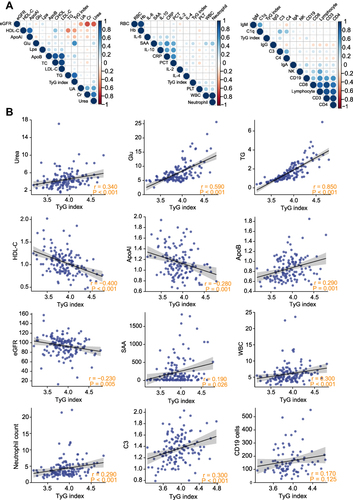 Figure 4 Correlation of TyG index with lipoprotein, renal function, inflammatory indexes and immune indexes in non-re-positive and re-positive COVID-19 patients. (A) Heatmap of correlation between TyG index and lipoprotein, renal function, inflammatory indexes and immune indexes. (B) Correlation between 12 selected clinical indicators and TyG index.