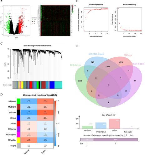 Figure 9 Identification of NK cell risk model genes in conjunction with WGCNA and DEGs. (A) Volcano plot and heatmap for DEGs in the MM and normal samples. Black: non DEGs in groups; red: upregulated DEGs in MM group; green: downregulated DEGs in in MM group. (B) Analysis of soft thresholds. (C) Gene dendrogram and module colors. (D) Module trait relationships. (E) The venn diagram of the DEGs, Black modules genes of WGCNA and NK risk model genes for OS.