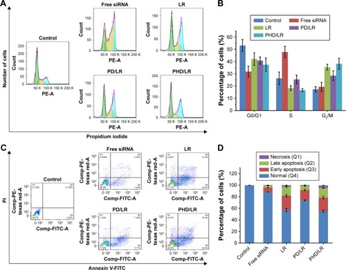 Figure 6 Cell cycle (A and B) and apoptosis-inducing effect (C and D) of different siPLK1-formulations.Abbreviations: LR, lipoplex; mPEG, methoxy poly(ethylene glycol); PD, PHis-PSD; PHD, mPEG-PHis-PSD; PHis, poly(histidine); PSD, poly(sulfadimethoxine).