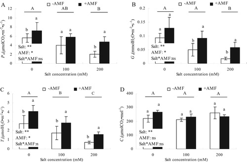 Figure 8. Effects of AMF inoculation on photosynthetic gas exchange parameters of alfalfa leaves under salt stress.