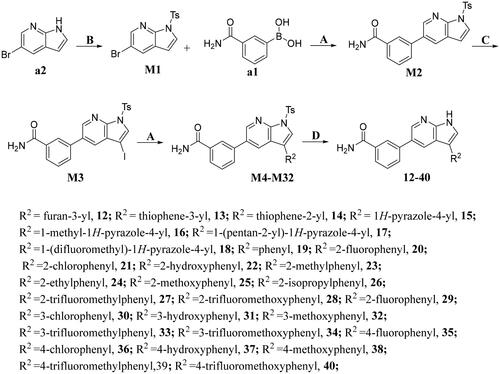 Scheme 2. Synthesis of compounds 12-40aaReagents and conditions: A. K2CO3, Pd(dppf)Cl2, 1,4-dioxne, H2O, 85 °C, 14 h; B. NaOH, THF, H2O, 35 °C, 6 h; C. DMF, NIS, 85 °C, 12 h; D. NaOH, CH3CH2OH, H2O, 75 °C, 2 h.