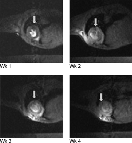 Figure 4.