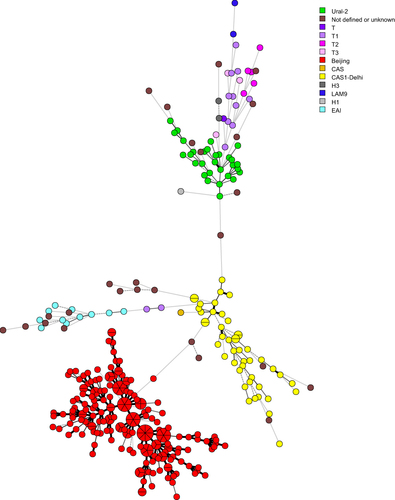 Figure 1 Minimum spanning tree (MST) based on the spoligotyping data of 347 M. tuberculosis isolates. Lines between nodes indicate genetic distance between genotypes. Portions in the circle divided by the lines indicated the number of the isolates belonging to a particular genotype. Classification of the isolates into different phylogenetic lineages is visualized by color coding.