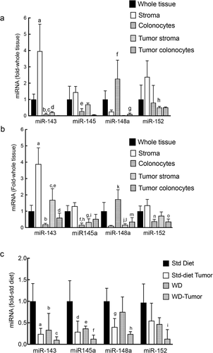 Figure 2. (a) Cell-specific distribution of miRNAs in normal human colon and colon cancers. Stromal cells and colonocytes were prepared from surgical specimens of human tumours and adjacent normal appearing tissue as described in the Methods. Indicated miRNAs were quantified by real-time PCR with values normalized to 1 in whole (non-fractionated) tissue. Note the relative enrichment of miR-143, miR-145, and miR-152 in stromal cells and the relative enrichment of miR-148a in the colonocyte fraction. miR-143 ap<0.05 whole tissue vs stroma; bp<0.005 whole tissue versus colonocytes; cp<0.001 stroma vs colonocytes; dp<0.005 stroma vs tumour stroma. miR-145: ep<0.05 stroma vs colonocytes; miR-148a: fp<0.005 stroma vs colonocytes; gp<0.05 colonocytes vs tumour colonocytes, miR-152: hp<0.05 stroma vs tumour stroma. (b) Cell-specific distribution of miRNAs in normal mouse colon and mouse colon tumours. Cellular fractions were prepared from fresh colonic mucosa from control and conditional Apc+/LoxP-cdx2-P-Cre mice as described in the Methods. RNA was prepared and indicated miRNAs quantified by real-time PCR. Expression levels were normalized to 1 in whole (non-fractionated) tissue. Note the relative enrichment of miR-143, miR-145a and miR-152 in stromal cells and relative enrichment of miR-148a in the colonocyte fraction. miR-143: ap<0.05, whole tissue vs stroma, bp<0.05, stroma vs colonocytes. cp<0.05, stroma vs tumour stroma, dp<0.05, stroma vs tumour colonocytes, ep<0.05 colonocytes vs tumour stroma; miR-145: fp<0.005 whole tissue vs colonocytes, gp<0.05 whole tissue vs tumour stroma, hp<0.005 stroma vs colonocytes, ip<0.05 stroma vs tumour stroma; miR-148a: jp<0.05 whole tissue vs tumour stroma, kp<0.05 stroma vs colonocytes, lp<0.05 colonocytes vs tumour stroma, mp<0.005 colonocytes vs tumour colonocytes; miR-152: np<0.005 whole tissue vs colonocytes, op<0.05 whole tissue vs tumour colonocytes. (c) Western diet and tumour development down-regulate miR-143 and miR-145a with a similar trend for miR-148a and miR-152. Mice were fed standard diet (Std diet, 5% fat) or Western diet (20% fat) and treated with AOM or saline as described [Citation8]. After 40 wks mice were sacrificed and colonic mucosa from left colon scrape-isolated and RNA extracted. miRNAs were measured by real-time PCR. Diet significantly reduced miR-143 and miR-145a with even greater reductions in tumours. miR-143: ap<0.005; bp<0.01 cp<0.0005 compared to Std diet; miR-145a: dp<0.01; ep<0.02; fp<0.005; compared to Std diet. miR-148a: gp<0.05, hp<0.005 compared to Std diet; miR-152: ip<0.001, compared to standard diet