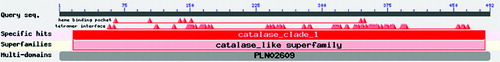 Figure 7. Size and location of conserved protein domains encoded by SoCAT-1 and SsCAT-1.