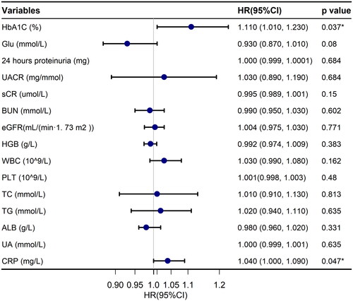 Figure 4. Crude hazard ratios for end-stage kidney disease (ESKD) by laboratory examination. HR: hazard ratio; 95% CI: 95% confidence interval; HbA1C: glycated hemoglobin; Glu: serum glucose; UACR: urinary albumin-to-creatinine ratio; sCr: serum creatinine; BUN: serum urea nitrogen; eGFR: glomerular filtration rate; HGB: hemoglobin; WBC: white blood cell; PLT: platelet; TC: total cholesterol; TG: triglycerides; ALB: serum albumin; UA: uric acid; CRP: C-reactive protein.