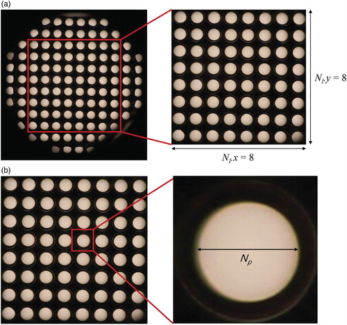 Figure 8. Experiment results for the effective number: (a) effective lens number and (b) effective pixel number.