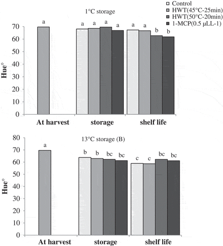 Figure 3. Effect of storage temperatures, hot water (HWT) and 1-MCP treatments on Hue° of ‘Karaj’ persimmon after 30-day storage of 1°C (A), 20-day storage of 13°C (B), and shelf-life conditions. Means with the same letter in each fig are not significantly different at 5% level of the LSD test.