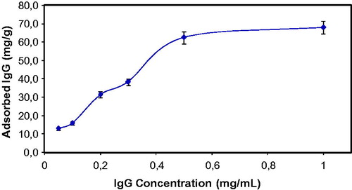 Figure 5. Effect of IgG concentration on adsorption capacity. pH: 5.0; temperature: 25 °C.
