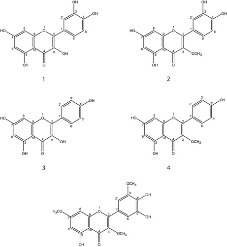 Figure 1. Chemical structures of the isolated flavonoids.