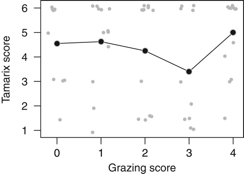 Figure 4. Observed correlation between grazing and Tamarix density (small grey dots, jittered to prevent overlap). Mean Tamarix values per grazing score are given as larger black dots connected with a line.