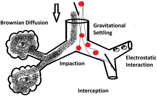 Figure 3A. Particle properties and illustration of their deposition mechanisms.