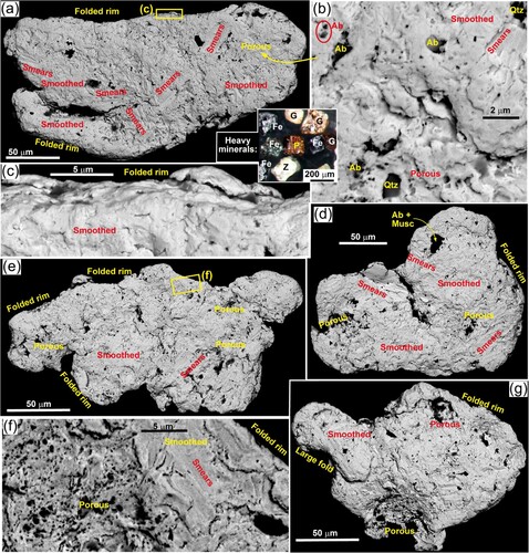 Figure 10. External morphology of detrital gold from tidal sandy gravel on beach northeast of the Rakaia River mouth. A, Incipiently flattened particle with folded rims. Inset shows typical accompanying heavy mineral suite: P = oxidised pyrite pseudomorph; G = garnet; Z = zircon; Fe = Fe-Ti-oxide. B, Close view of relict porous area in gold particle in a, showing micron-scale albite (Ab) and quartz (Qz) inclusions visible through some smeared and smoothed surfaces. C, Folded rim of particle in A. D, E, Irregularly shaped particles with folded rims, smeared and smoothed surfaces, and some relict porous areas. F, Close view of boundary between deformed margin and a relict porous area in E. G, Irregularly shaped particle with folded rims and some relict porous areas.