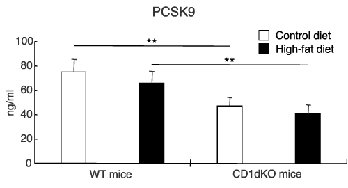 Figure 5 Serum level of PCSK9 after 16 weeks of CTD or HFD feeding. Mice were fed a CTD or HFD for 16 weeks. The serum level of PCSK9 was measured by ELISA. Five to six mice were used per group. **p<0.01 in comparison to the CTD- or HFD-fed mouse group, between WT mice and CD1dKO mice.