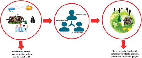 Figure 1. One Health Approach Model (Modified from Center for Disease Control and Prevention).