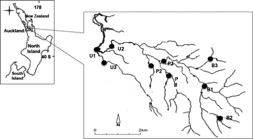 Figure 1. Otara Creek catchment showing the three discrete sub-catchments.