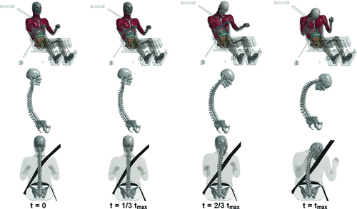 Fig. 2 Time lapse images showing the kinematics of the GHBMC M50 model. The top row indicates overall body motion and the second and third rows show spine kinematics from the side and back, respectively (color figure available online).